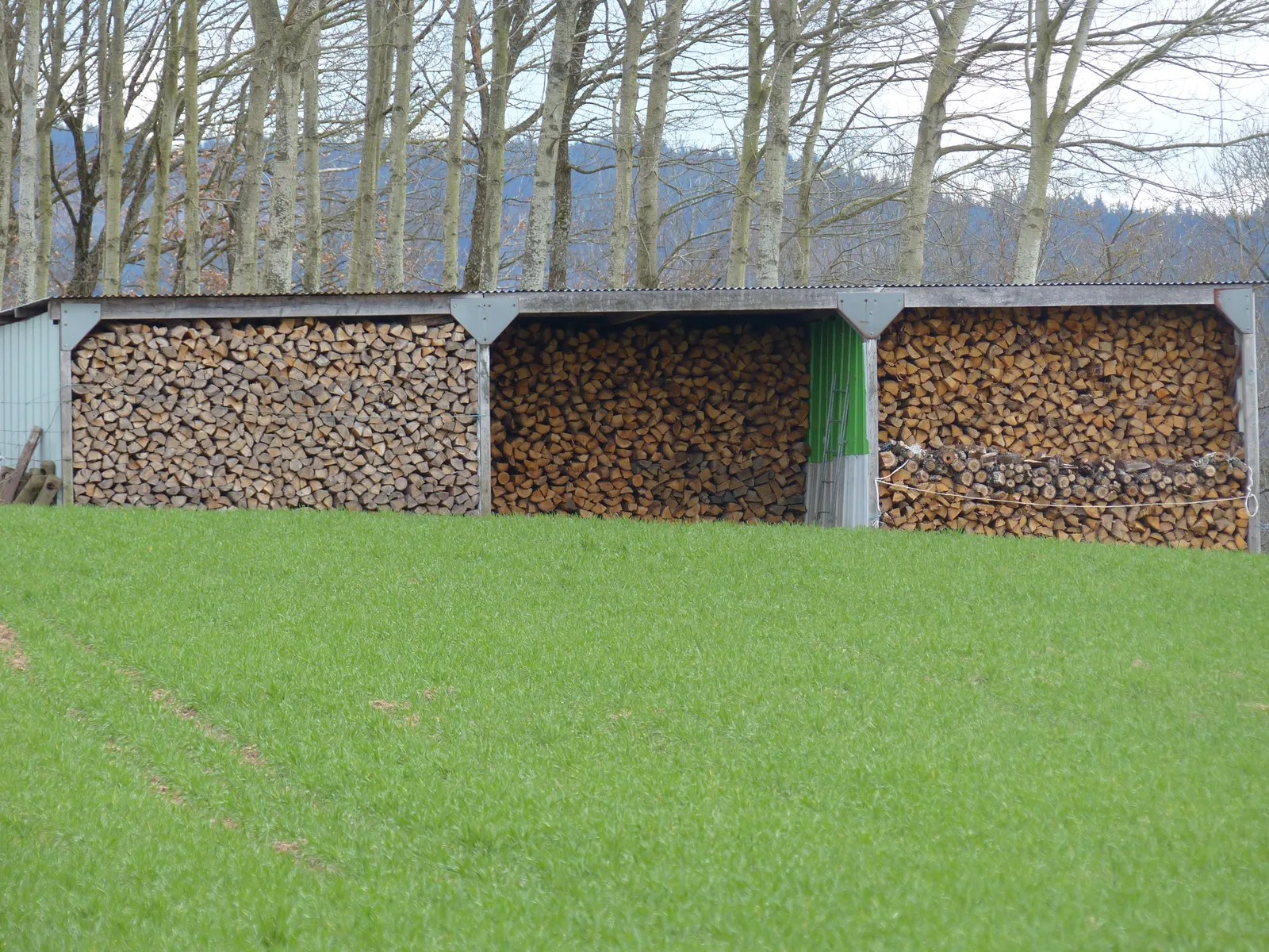 Abri à bois ouvert de trois travées rempli de bûches empilées, en bordure de champ en Saône-et-Loire