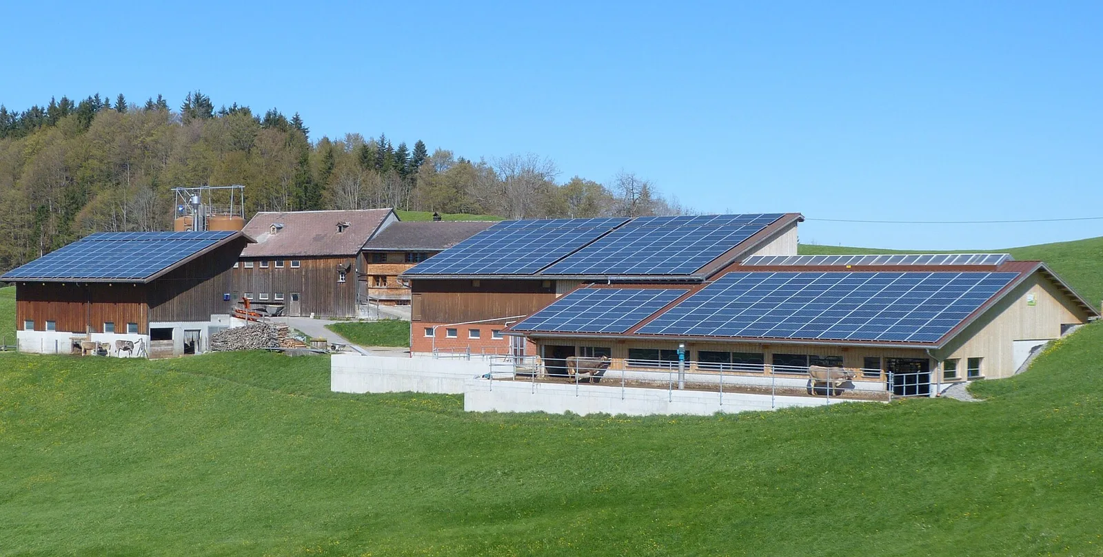 Ferme suisse dont les toits de plusieurs granges et étables sont entièrement couverts de panneaux photovoltaïques, au milieu de prairies