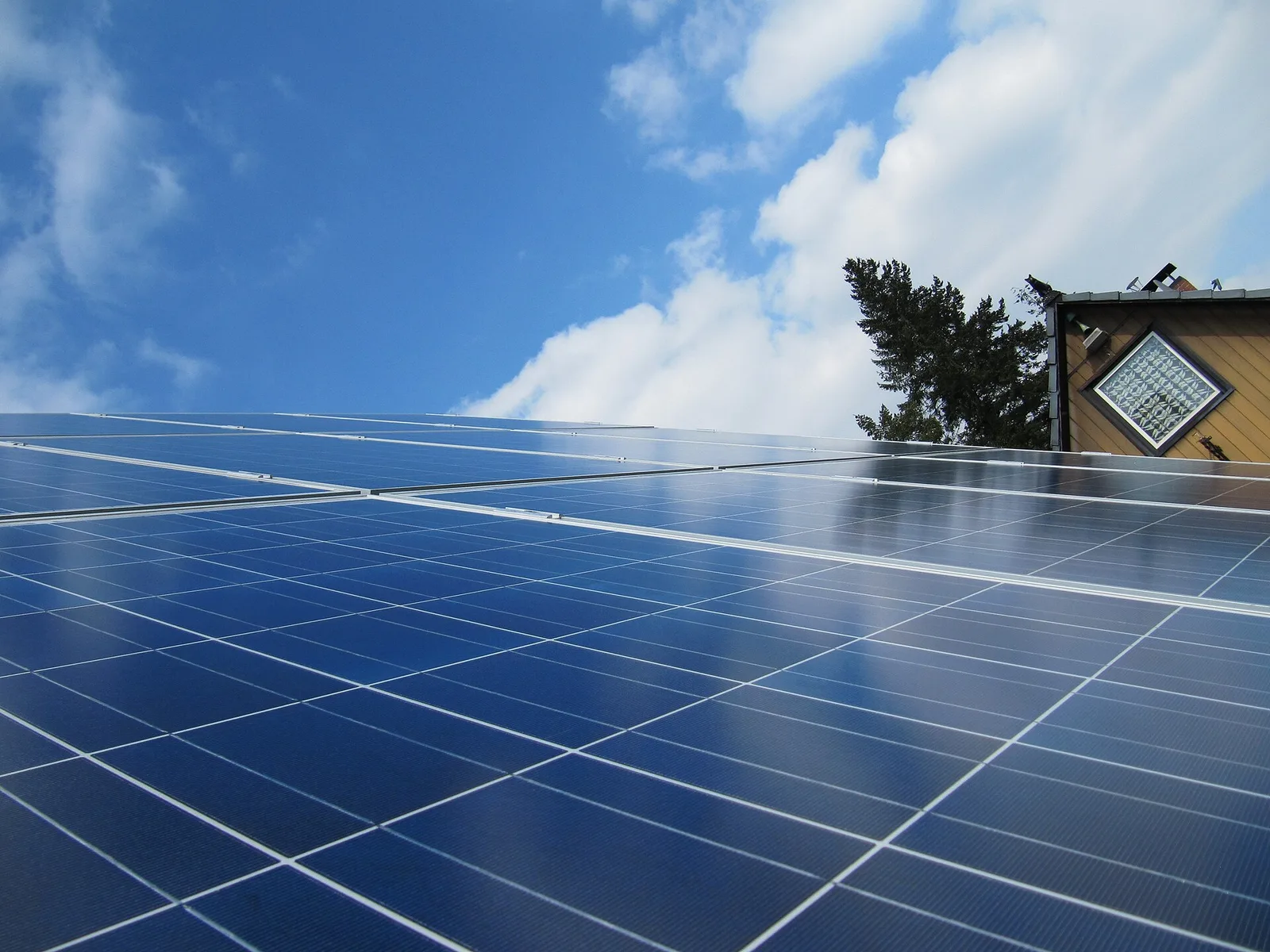 Panneaux photovoltaïques sur un toit incliné, avec un arbre en bordure de toiture