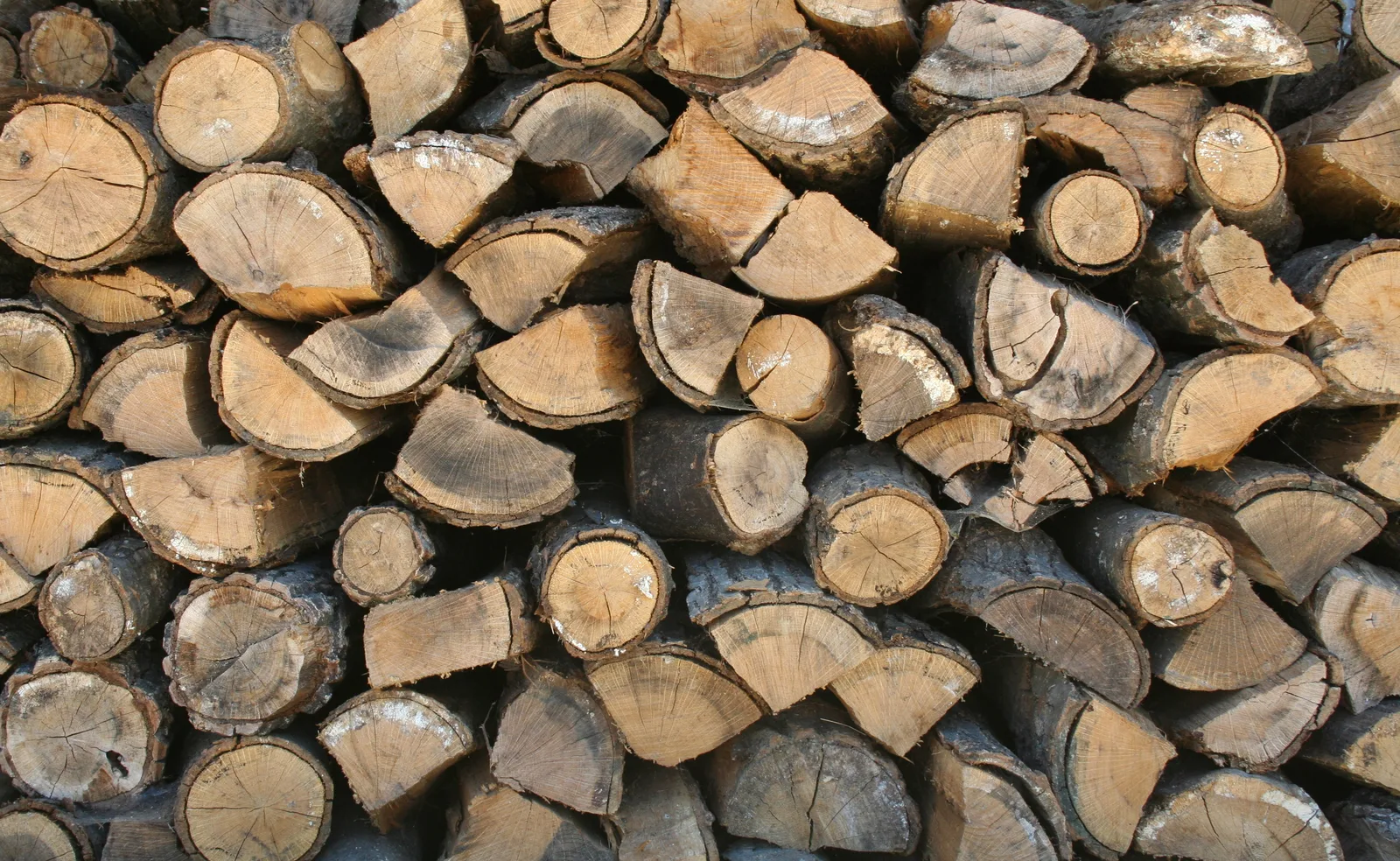 Bûches de bois empilées et stockées pour l'hiver